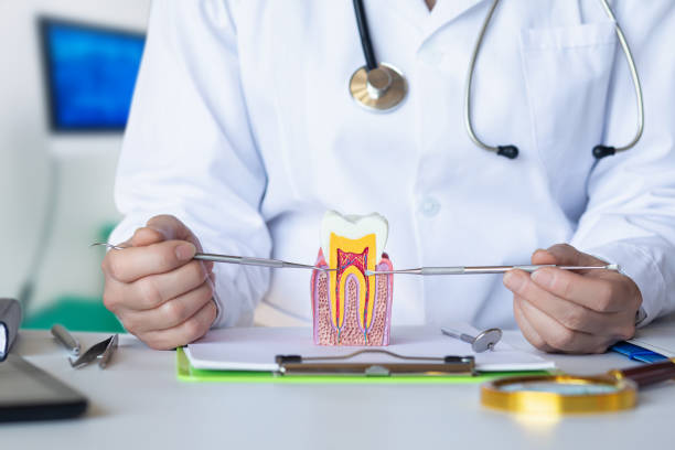 Best 24-Hour Emergency Dental Care in Mount Ora, OH